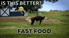 Fast Food Food GIF - Fast Food Food Eating GIFs