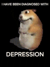 Diagnosed Hamster Depression GIF