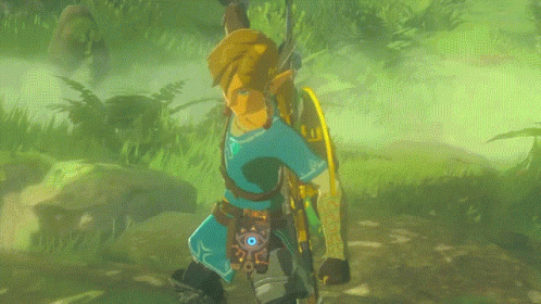 the-legend-of-zelda-breath-of-the-wild-legend-of-zelda-breath-of-the-wild.gif