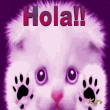 Kitten Hola GIF - Kitten Hola Lick GIFs