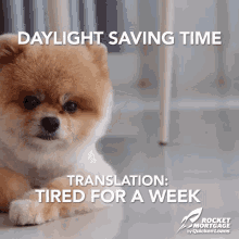 Daylight Saving Time Tired GIF - Daylight Saving Time Tired Lazy GIFs
