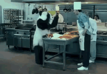 a panda bear in a kitchen with chefs behind him