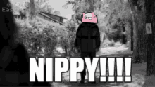 Nippy Nippy Nft GIF