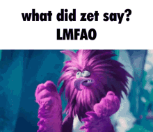 What Did Zet GIF - What Did Zet Zeta GIFs