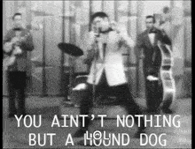 You Aint Nothing But A Hound Dog GIF
