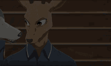 a wolf and a deer looking at each other
