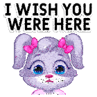 I Wish You Were Here I Miss You Sticker - I Wish You Were Here I Miss You Missing You Stickers