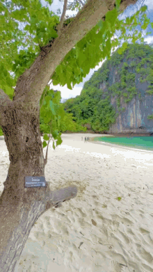 Thailand Beach GIF - Thailand Beach Ulethai GIFs