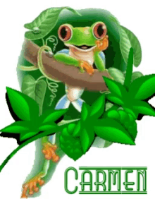 carmen frog