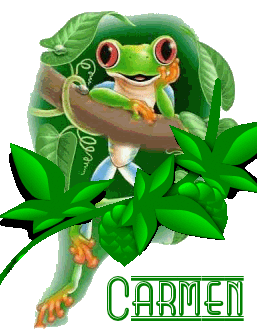 Carmen Cute Sticker - Carmen Cute Frog Stickers