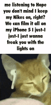 a picture of a cat with ear buds and a text that says me listening to hope you don 't mind
