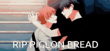 Pigeon Bread Pigeon GIF - Pigeon Bread Pigeon Bread GIFs