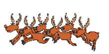 christmas reindeer running