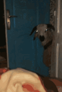Sheep Middle Of The Night GIF - Sheep Middle Of The Night Sheep At Night GIFs