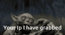 Ip Yoda GIF - Ip Yoda Grabbed GIFs