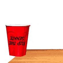 red solo cup solo cup flip cup senate congress