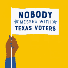 Nobody Messes With Texas Voters Tx GIF