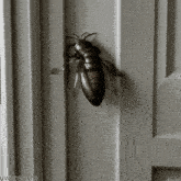 Fly Door GIF - Fly Door Closed GIFs