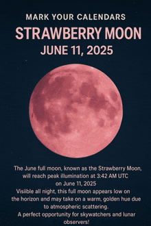 a poster that says mark your calendars strawberry moon june 11, 2025