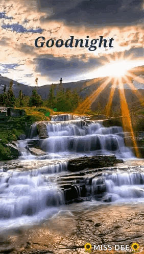 Good night scenery discount
