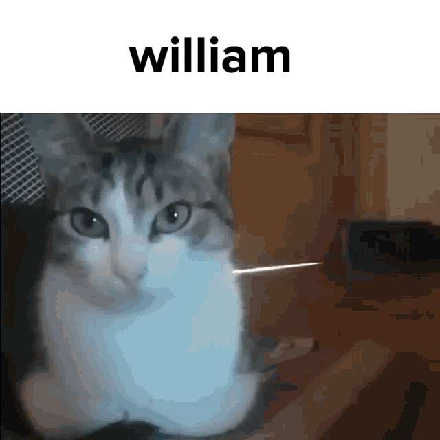 william meme