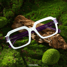 a pair of glasses sitting on a piece of wood with the word zeekool on the bottom