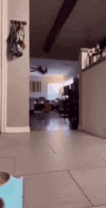 a blurred image of a person walking down a hallway in a house .