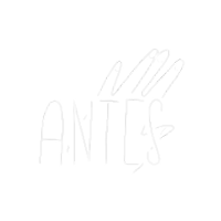 a white logo with the word antes written on it