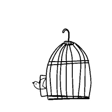 abiera bird bird cage pet