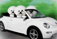 Dogs Driving GIF - Dogs Driving Crazy GIFs