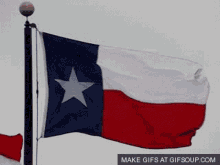 Texas Flag Waving GIF
