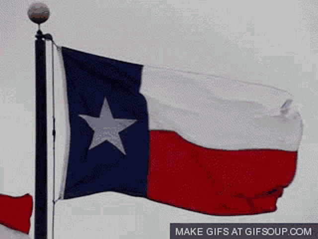Texas Rangers Flag (GIF) - All Waving Flags