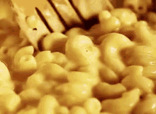 Macaroni Cheese GIF