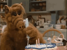 Alf Birthday Cake GIF - Alf Birthday Cake Baking GIFs
