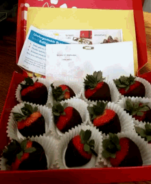 Chocolate Strawberries Thanks Babe Love You GIF - Chocolate Strawberries Thanks Babe Love You GIFs