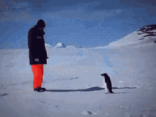 Zasto Ravnozemljasi Ne Mogu Na Antarktik GIF - Zasto Ravnozemljasi Ne Mogu Na Antarktik GIFs