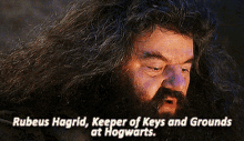 Hagrid Harry GIF - Hagrid Harry Potter GIFs