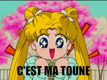 Cest Ma Toune Sailor Moon GIF - Cest Ma Toune Toune Sailor Moon GIFs