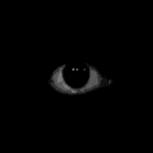 a black and white image of a moon in the night sky