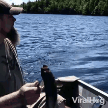 throwing a bait viralhog take this fish giving a food for a predator