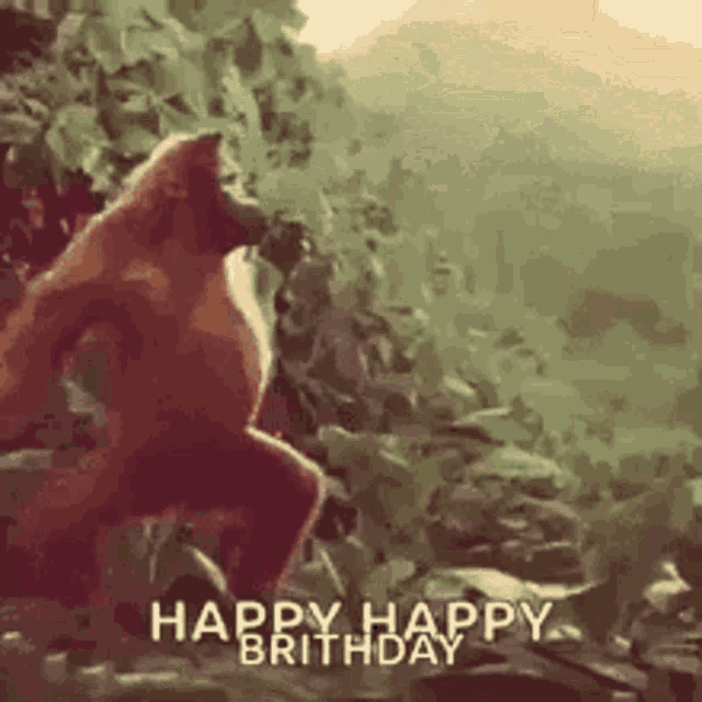 Its Another GIF - Its Another Birthday GIFs