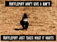 Hufflepuff Dont Give A Shit GIF - Hufflepuff Dont Give A Shit GIFs