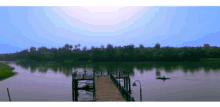 Lake Nature GIF - Lake Nature GIFs