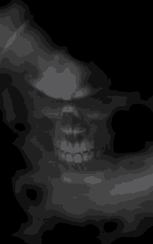 Skull Skeleton GIF