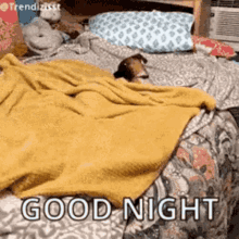 Cute Dog Says Good Night GIF - Cute Dog Says Good Night Good Night GIFs