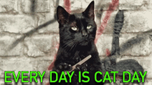National Cat Day Happy Cat Day GIF - National Cat Day Cat Day Happy Cat Day GIFs