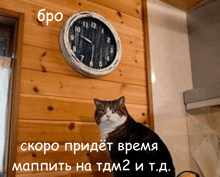 a cat sitting in front of a wooden wall clock that says 11:12