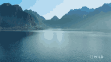 Arctic National Geographic GIF - Arctic National Geographic Nat Geo Wild GIFs