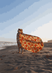 The Ocean GIF - The Ocean Weather GIFs