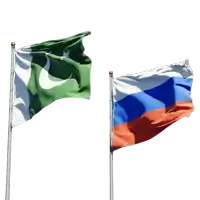 a green and white flag and a blue and red flag are flying next to each other